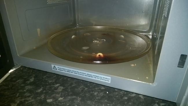 Burnt Microwave