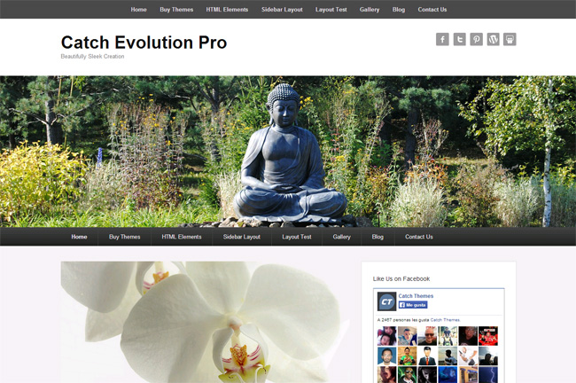 Catch Evolution Free WordPress Theme