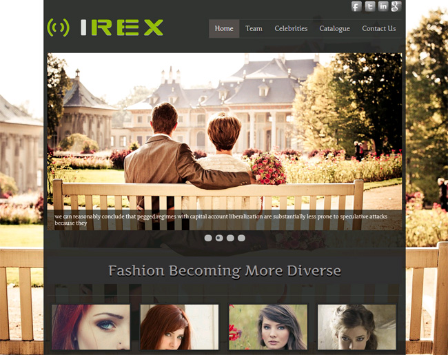 Irex Free WordPress Theme