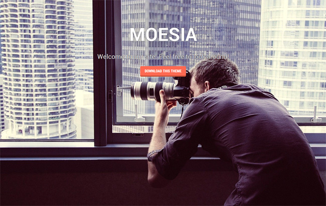 Moesia Free WordPress Theme