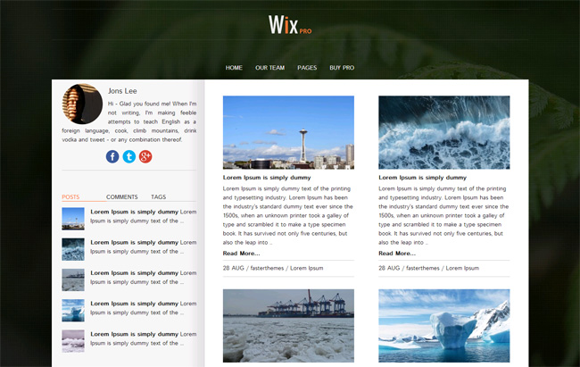 Wix Pro Free WordPress Theme