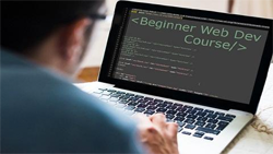 The Beginner Web Dev Bundle