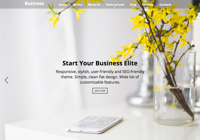 Business Elite Home Page Slider