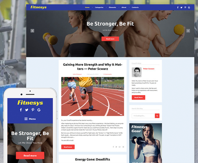 Fitnesys Blog Theme
