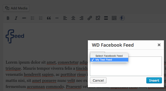 Facebook Feed WD Post Editor