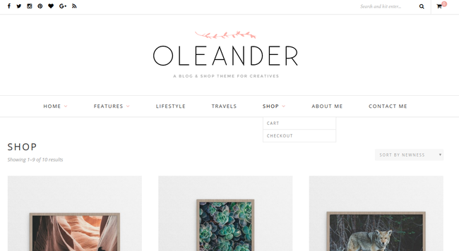 Oleander WordPress Theme