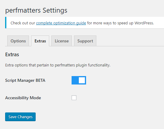 Perfmatters Extras Settings