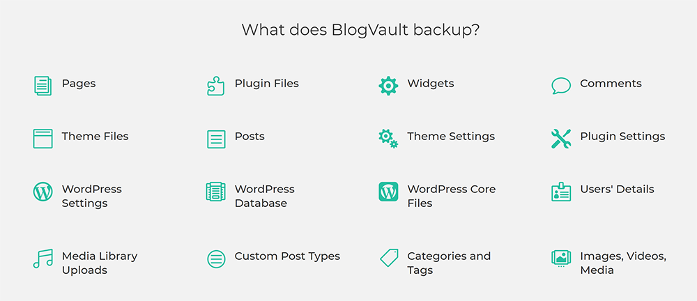 What BlogVault Backs Up