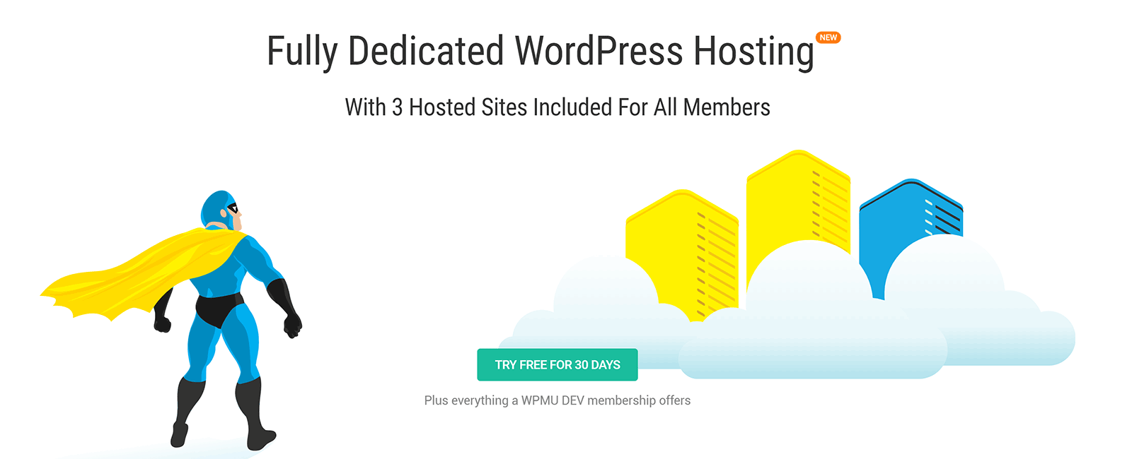 WPMU Dev Dedicated WordPress Hosting